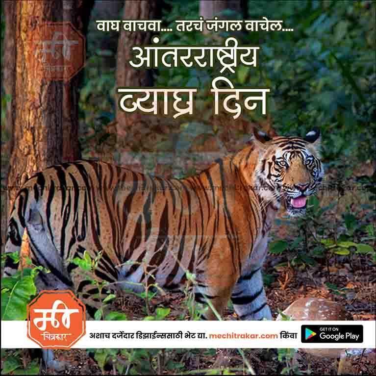 International Tiger Day graphic in PSD format